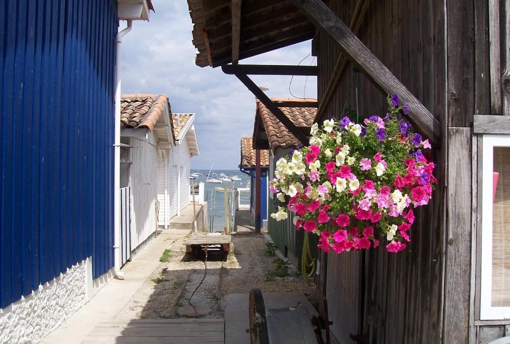 Lénoka Apartman La Teste-de-Buch Kültér fotó